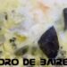 Vegetales mixtos horneados con Bechamel