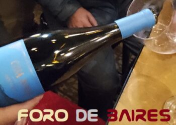 Todavía resuenan los brindis por el «Día del Malbec» que pasó