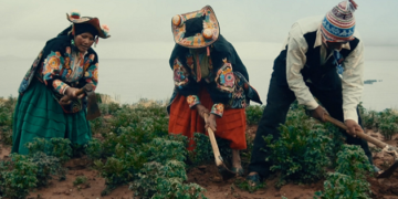 El 6° Festival Internacional de Cine Ambiental [FINCA] es totalmente gratis