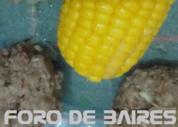El Puchero de albóndigas, un plato bien criollo y patriótico