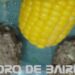 El Puchero de albóndigas, un plato bien criollo y patriótico