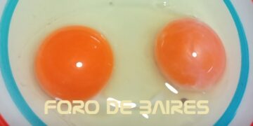 ¿Por qué existen los huevos de doble yema?