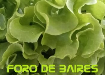 La lechuga y su insulso aporte al sabor de la tentación