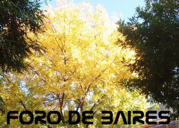 Soñé que una anciana trepaba un árbol