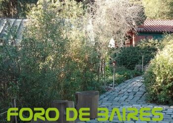 El Jardín Botánico Carlos Thays está en la lista de los favoritos porteños