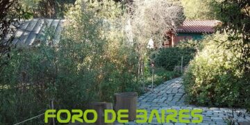 El Jardín Botánico Carlos Thays está en la lista de los favoritos porteños