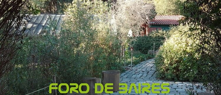 El Jardín Botánico Carlos Thays está en la lista de los favoritos porteños