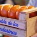 Falta muy poco para que disfrutes de «Caminos y Sabores»