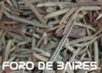 Estas son las hierbas que curan el dolor de huesos
