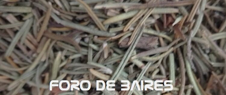 Estas son las hierbas que curan el dolor de huesos