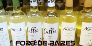 Se viene el “Mapa del vino”, una feria para viajar en copa por distintas regiones de la Argentina