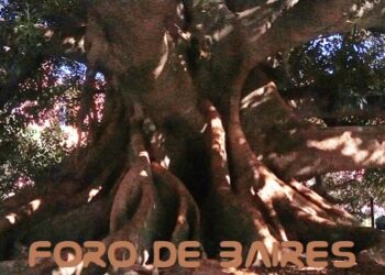 El frondoso Gomero, frente al Teatro Colón que es monumento histórico de la Ciudad