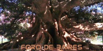 El frondoso Gomero, frente al Teatro Colón que es monumento histórico de la Ciudad