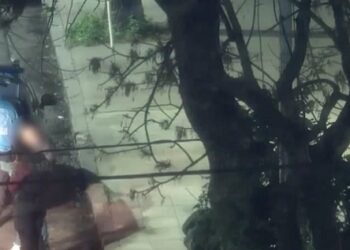 Un ladrón intentó robar en Agronomía una moto y fue detenido con el aporte del CMU
