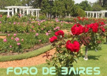 En el Rosedal de Palermo repartirán gajos a los vecinos para plantar en casa