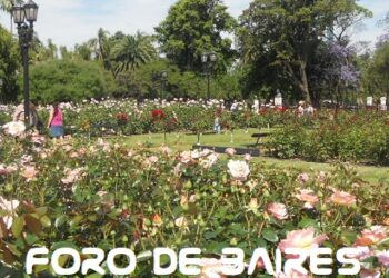 Los vecinos reciben gajos para plantar rosas