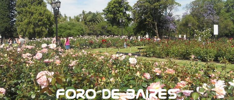 Los vecinos reciben gajos para plantar rosas