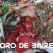Correcta gestión de residuos soluciona problemas socioambientales y oportunidades de negocio