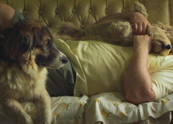 «Siete perros», una película de Rodrigo Guerrero con Luis Machín