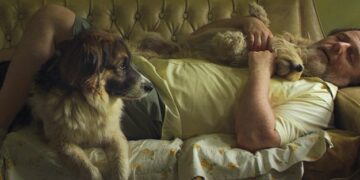 «Siete perros», una película de Rodrigo Guerrero con Luis Machín