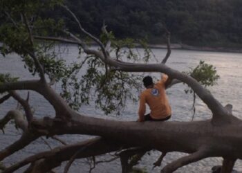 «El Dorado», una película de Francisco Bouzas