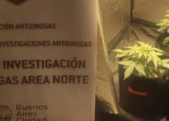 Detienen en Palermo a un dealer que cultivaba y vendía marihuana