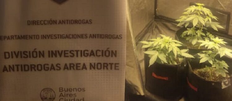 Detienen en Palermo a un dealer que cultivaba y vendía marihuana