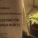 Detienen en Palermo a un dealer que cultivaba y vendía marihuana
