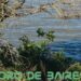Fin de semana ideal para visitar la Reserva ecológica