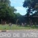 Pedaleando BA: circuitos autoguiados para recorrer la Ciudad en bicicleta