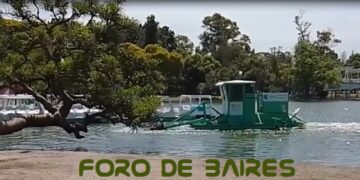 Así se realiza el control de vegetación acuática en los parques de la Ciudad