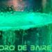 Se viene Mapa del vino Summer Edition by Mariana Gil Juncal