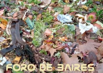 ¿Qué es el compostaje y para qué sirve?