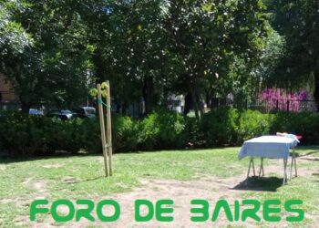 ¿Qué es el dengue y cómo se contagia?