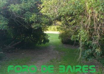 Soñé con caminos desconocidos, arbolados y floridos