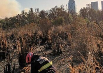 El incendio en la Reserva Ecológica porteña está «controlado» pero siguen las tareas de enfriamiento