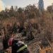 El incendio en la Reserva Ecológica porteña está «controlado» pero siguen las tareas de enfriamiento