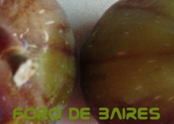 ¿Qué beneficios y propiedades tienen los higos?