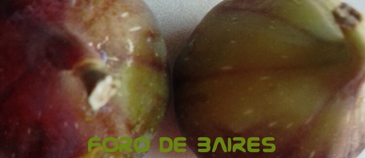 ¿Qué beneficios y propiedades tienen los higos?
