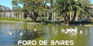El verano se vive mejor en el Lago del Parque Tres de Febrero