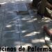 Vagos durmiendo en Cabrera 4676
