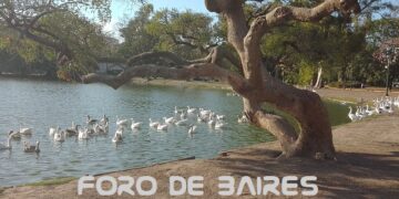 Es increíble que en tu barrio exista un paisaje así