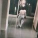 Buscan a la mujer del barbijo que sedujo por Tinder y robó más de US$ 100.000 en Palermo Hollywood