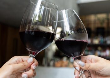 La Ciudad lanza la Escuela de Vino con capacitaciones orientadas al sector vitivinícola y gastronómico
