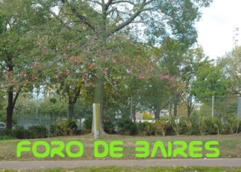 Para los amantes de los espacios verdes, Colegiales también brinda a sus vecinos hermosos parques y plazas