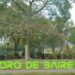 Para los amantes de los espacios verdes, Colegiales también brinda a sus vecinos hermosos parques y plazas