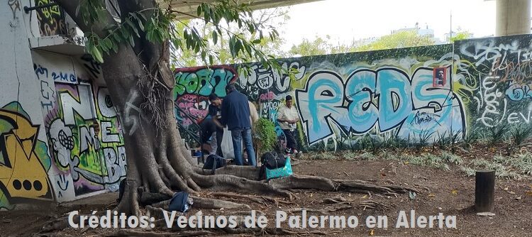 Usurpadores en Pasaje Darwin, entre Cabrera y Niceto Vega, se van asentando en el barrio