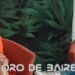 Conferencia de Prensa con Sara Silvia Kochen y Emiliano Serra, autores del documental «Cannabis medicinal»