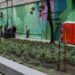 La calle Vera fue intervenida
