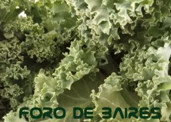 Qué alimentos hay que comer para evitar una gripe o un resfrío